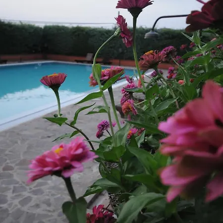 Casa Rondini, Organic Farm Dom wakacyjny Montegabbione