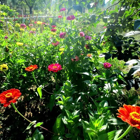 Casa Rondini, Organic Farm *