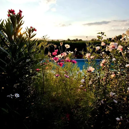 Casa Rondini, Organic Farm 度假居 Montegabbione