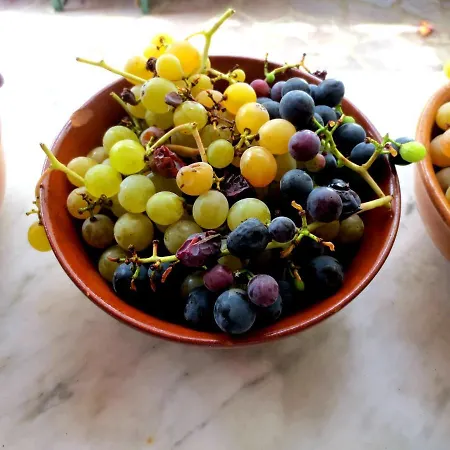 度假居 Casa Rondini, Organic Farm *