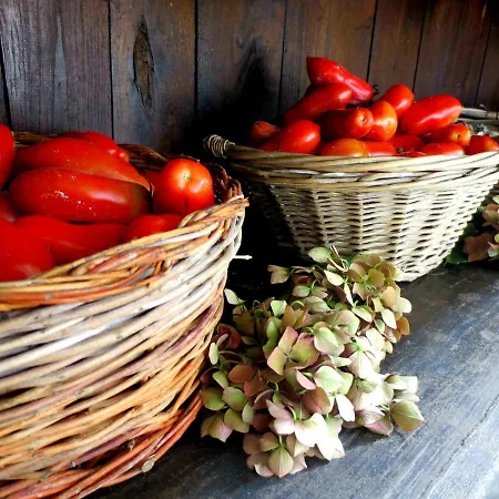 Casa Rondini, Organic Farm Montegabbione