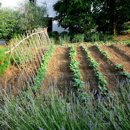 Casa Rondini, Organic Farm 度假居 *