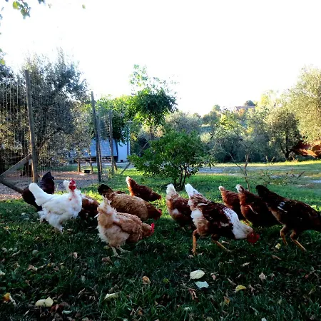 Dom wakacyjny Casa Rondini, Organic Farm