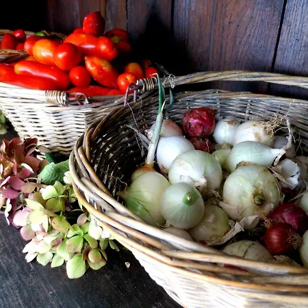 Casa Rondini, Organic Farm Dom wakacyjny Montegabbione