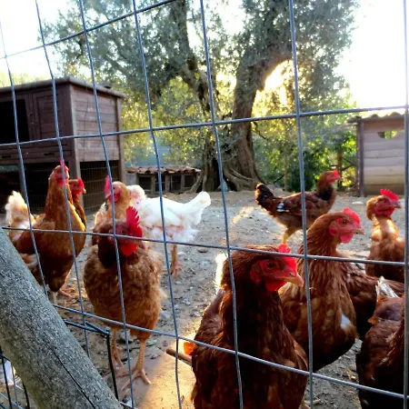 Casa Rondini, Organic Farm * Montegabbione