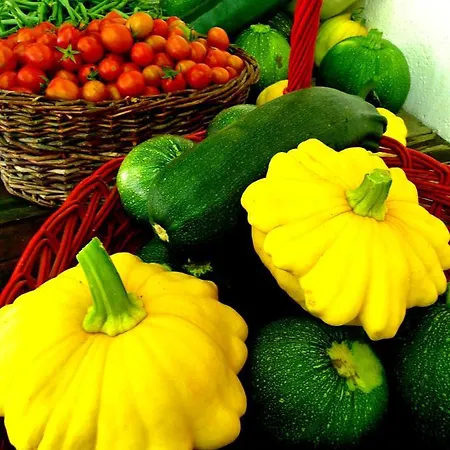 Casa Rondini, Organic Farm Dom wakacyjny