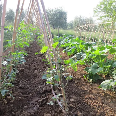 度假居 Casa Rondini, Organic Farm Montegabbione